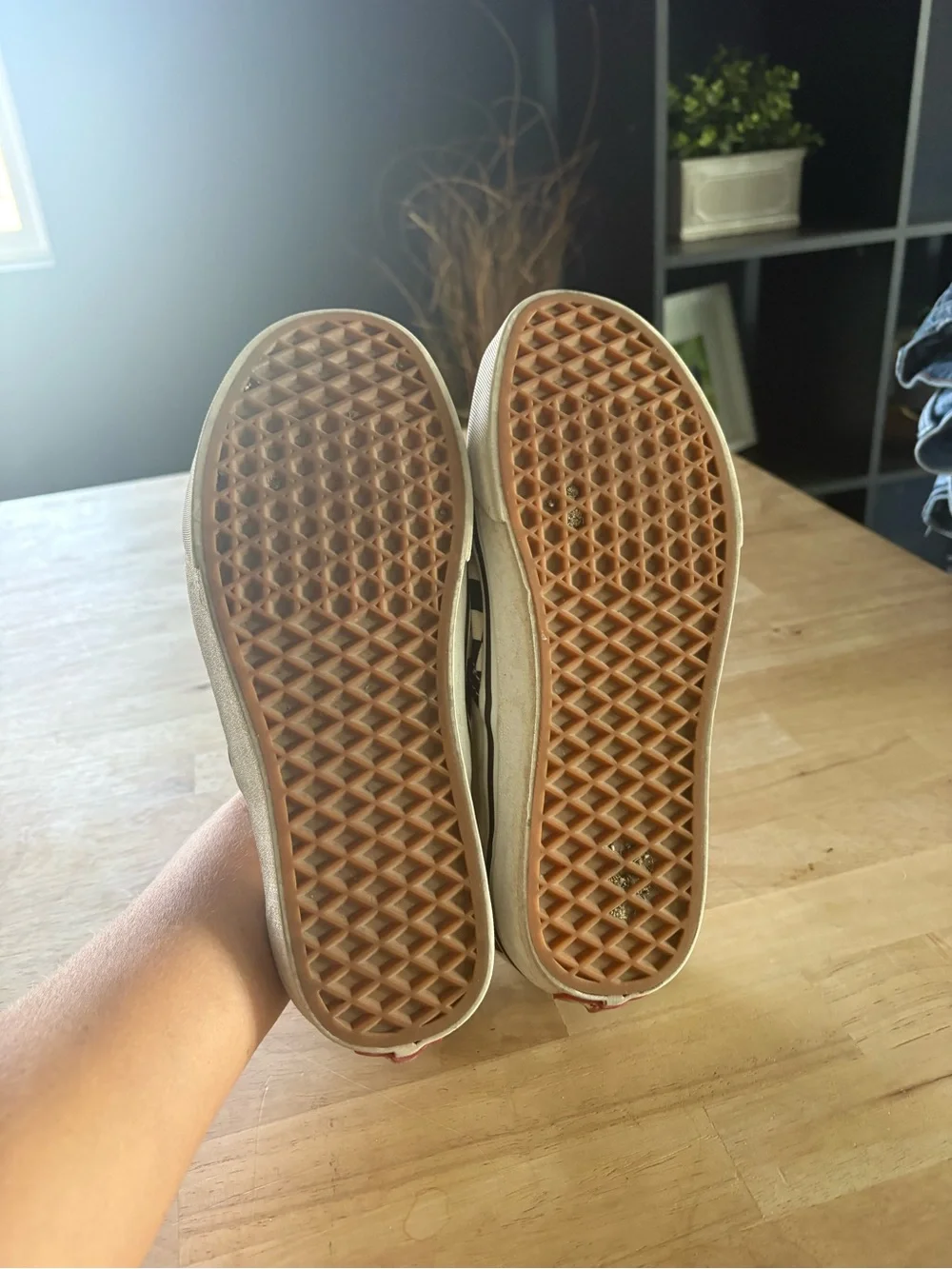 Vans slip on shoes